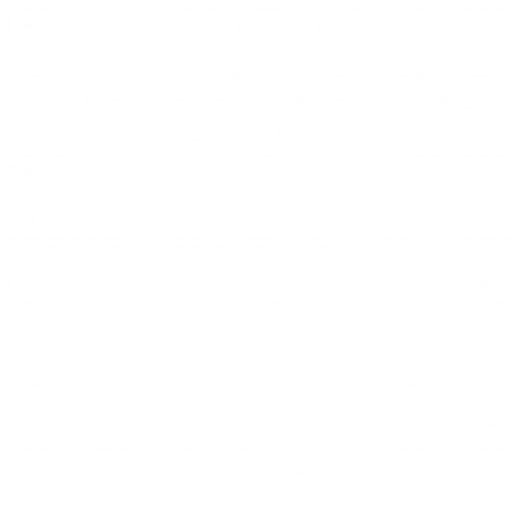 logo t2k white